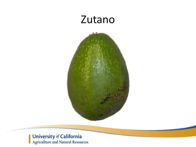 Slide13