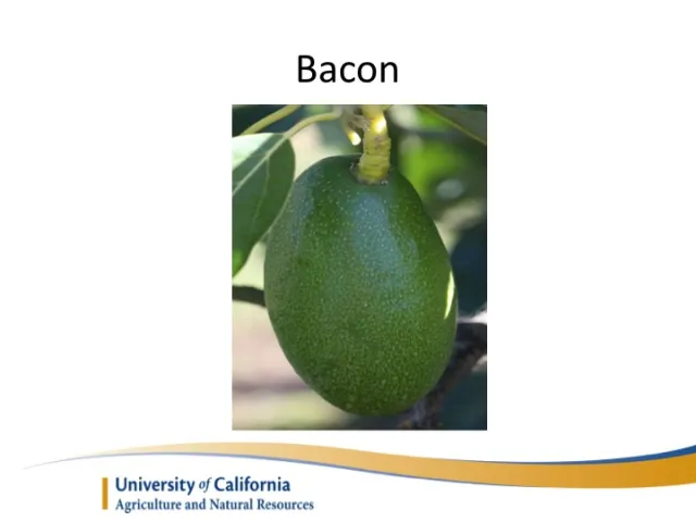 Slide14