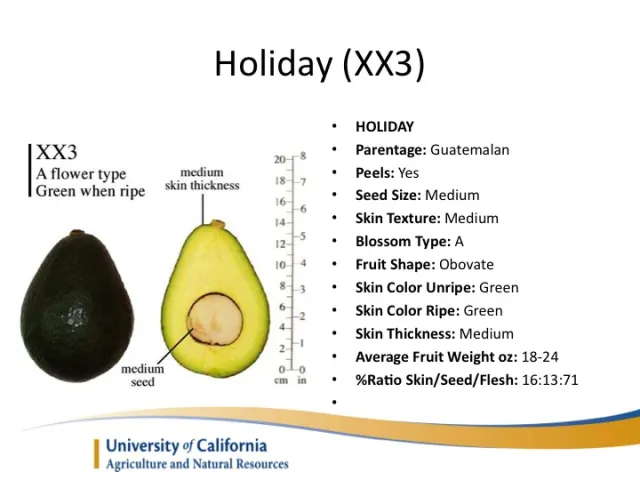 Slide16