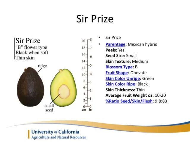 Slide17