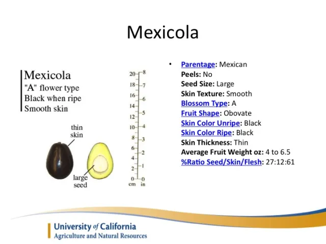 Slide18