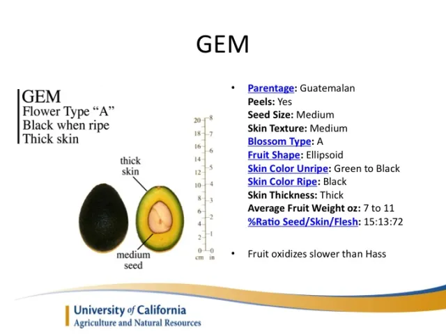 Slide19