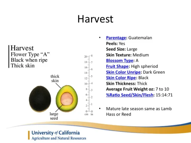 Slide20