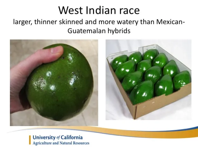 Slide21
