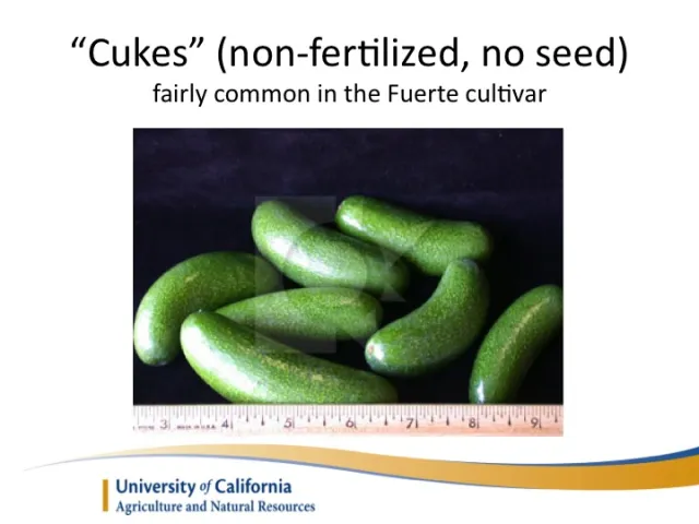 Slide22