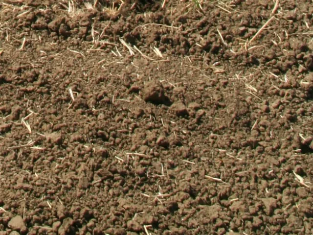 'Biotic farming' considers all living things, not just the crop being grown.