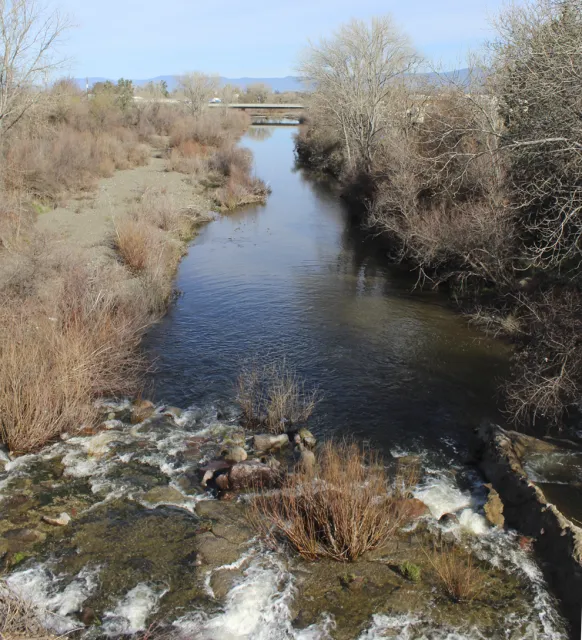 Kelsey Creek