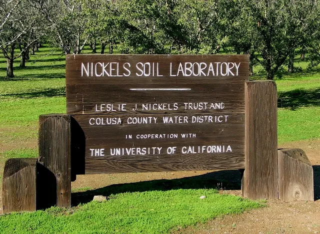 NSL sign 2
