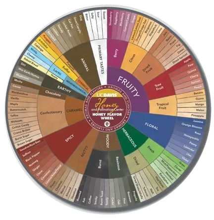 Honey Flavor Wheel