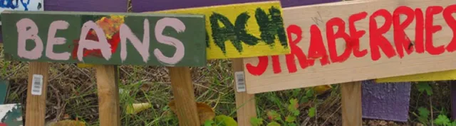 Crop signs_cropped