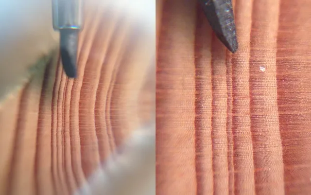 smallring_zoom