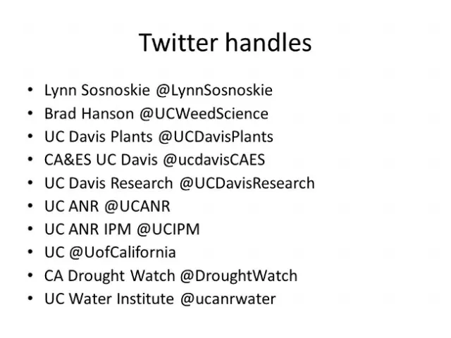 Twitter handles