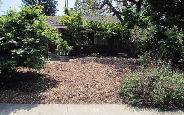 Mulch layer completed. Still day 2.