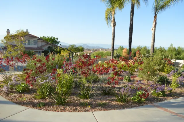 Waterwise Garden