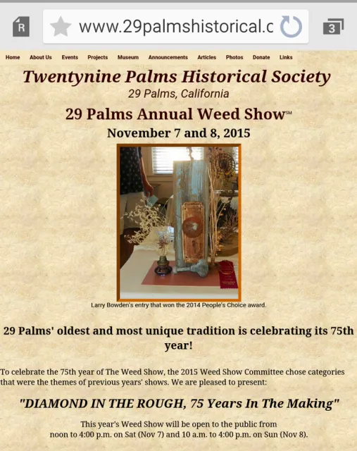 29 Palms brochure