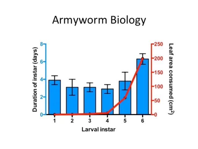 Slide11