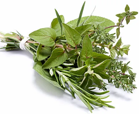 Grow herbs!
