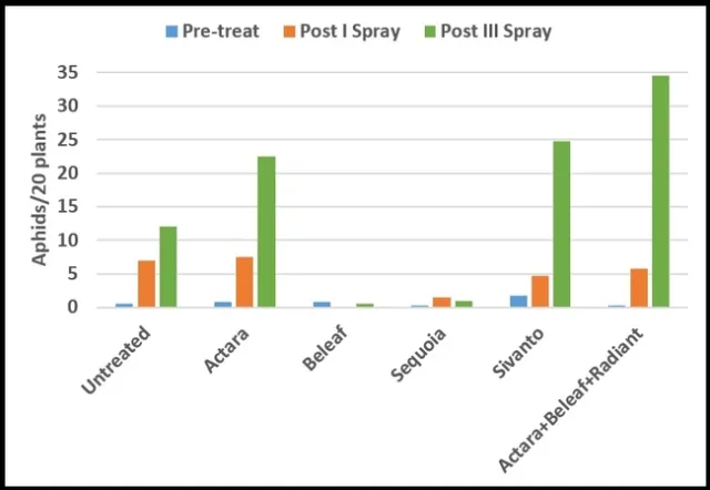 Celeriac-aphid counts