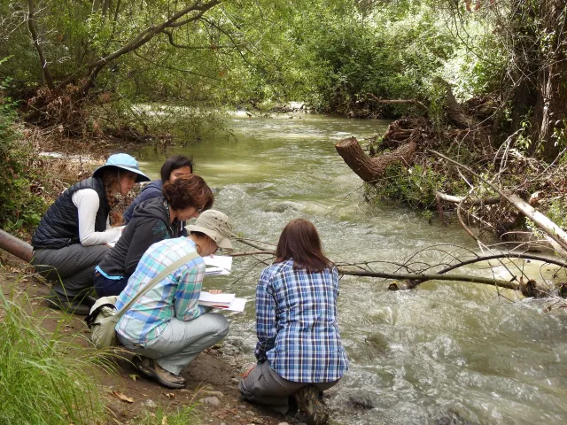 Grassroots Ecology (Elliot) 2