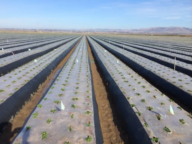 20140108 Plots
