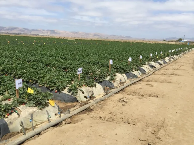 Plots on 5MAY2015