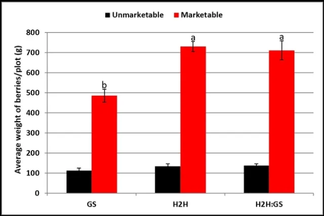 H2H-Average yield