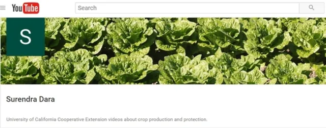 YouTube