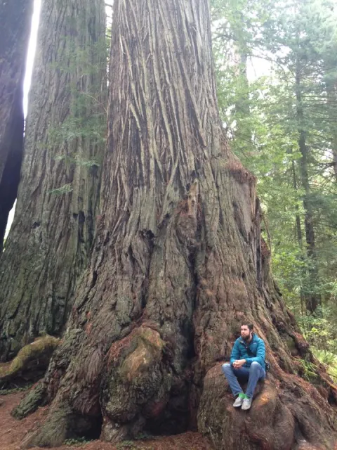 me and a tree