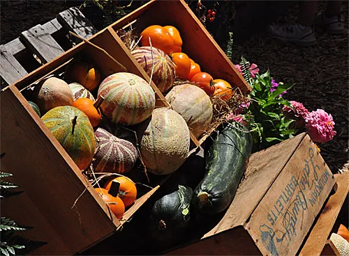 Harvest Day 2016