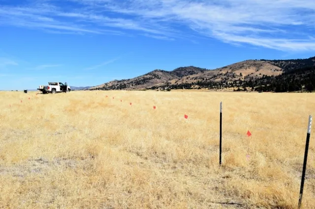 Willow Creek Site