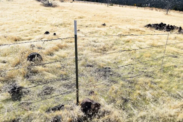 Typical site