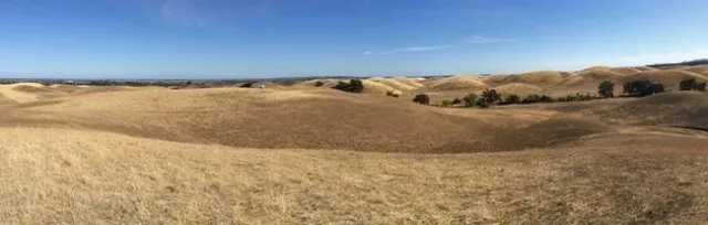 Site of experiment.