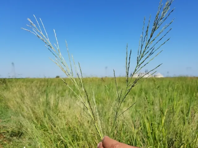 20160812 103312