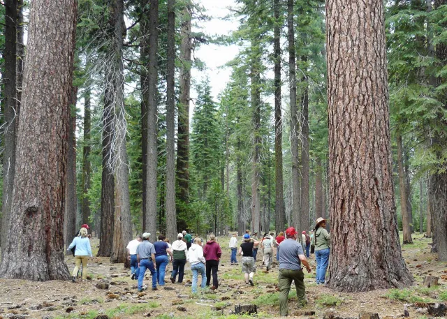 Plumas class crop