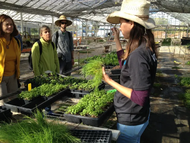 Sunnyside Organics