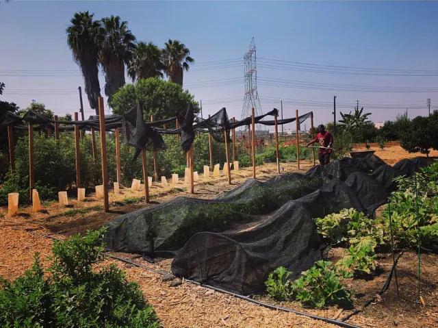 GrowGood Urban Farm