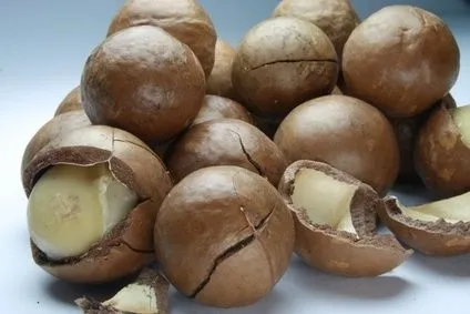 beaumont-macadamia