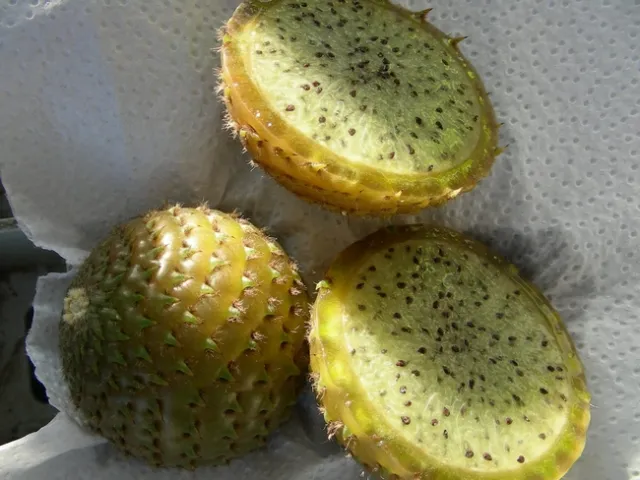 rumpa fruit cut