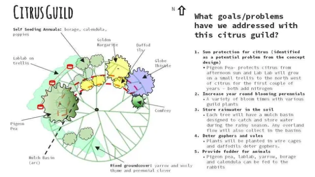 Citrus Guild, Earthshed Solutions