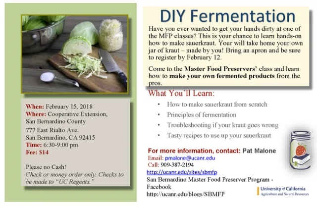 DIY Fermetation