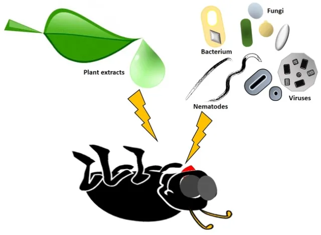 Biopesticides
