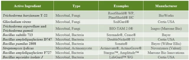 Table 3
