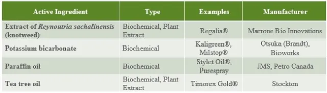 Table 4
