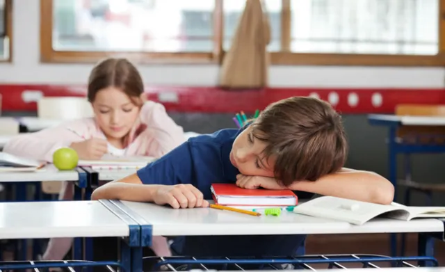 desk sleeper