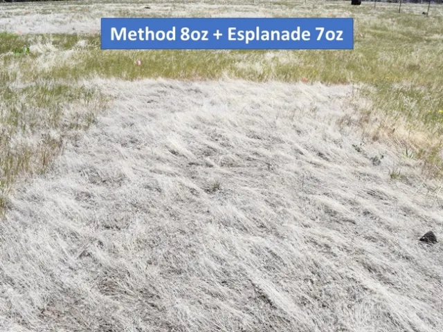 Method + Esplanade