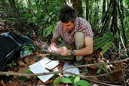 UC Davis researcher Santiago Ramirez will be one of the speakers at the fourth annual UC Davis Bee Symposium.