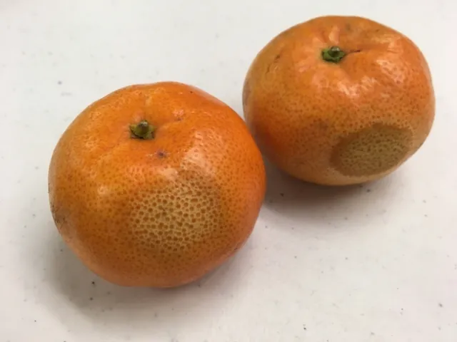 heat damage