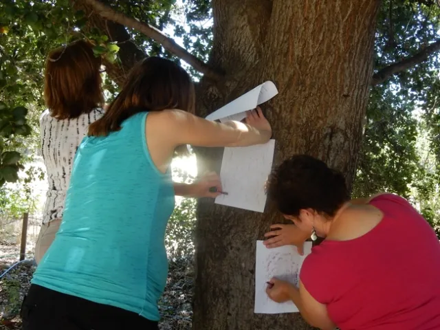 Making relief shadings of bark of tree