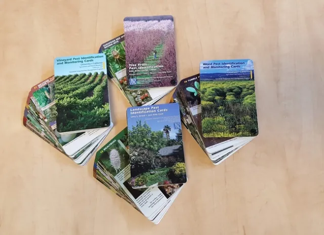 IPM cards