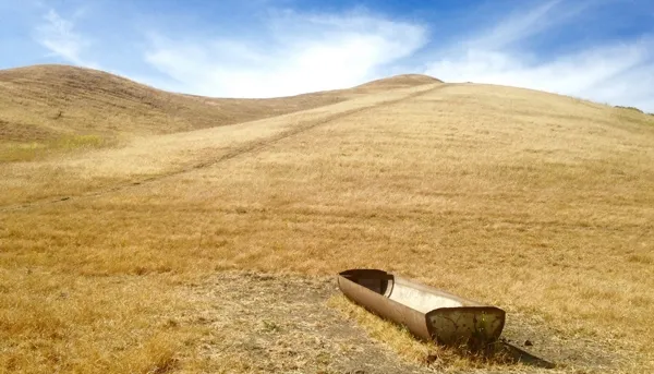 Extreme events like drought are expected to occur more frequently with climate change. Photo by Faith Kearns.